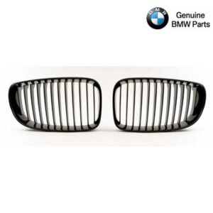 Grille BMW E82 E88 1M Hoogglans Zwart