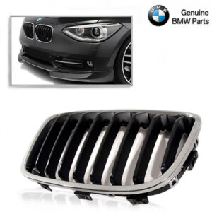 BMW F20/F21 Grille SPORT Line Links