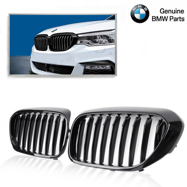 M PERFORMANCE Grille Nieren BMW G30 G31