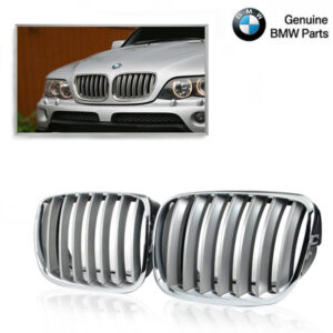 Grille BMW E53 facelift Chroom Titaan bj 03-06.