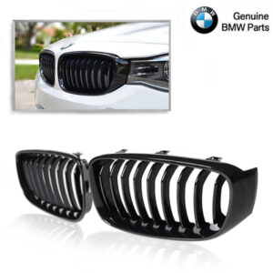 M-Performance Grille BMW F34 GT