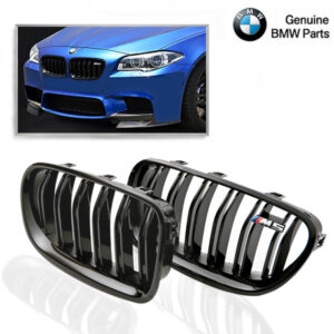 BMW M PERFORMANCE M5 Grille Nieren BMW F10/F11