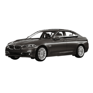 BMW-F10